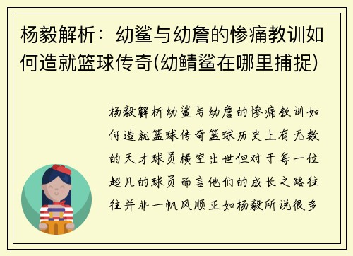 杨毅解析：幼鲨与幼詹的惨痛教训如何造就篮球传奇(幼鲭鲨在哪里捕捉)