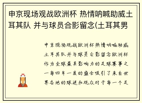 申京现场观战欧洲杯 热情呐喊助威土耳其队 并与球员合影留念(土耳其男篮申京)