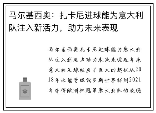 马尔基西奥：扎卡尼进球能为意大利队注入新活力，助力未来表现